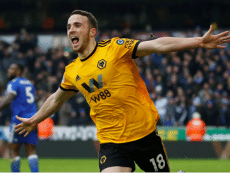 Jota celebrating a Wolves goal – “Promotion hero immortalized”