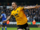 Jota celebrating a Wolves goal – “Promotion hero immortalized”