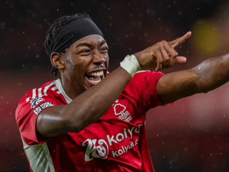 The Swedish winger’s standout season has attracted Newcastle’s interest